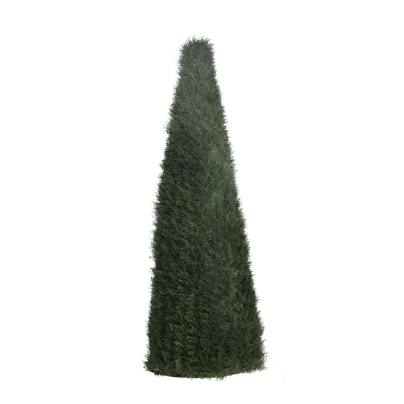Cypress / Pine