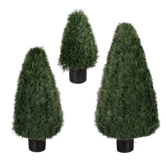 Outdoor Topiary