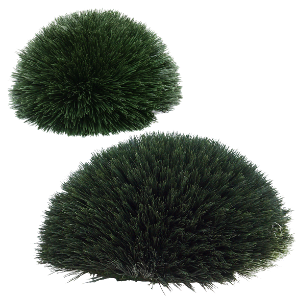 Floor Plants-Topiary/Balls