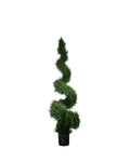 PP4037S-MINI CYPRESS SPIRAL TREE