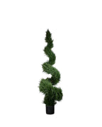 PP4037S-MINI CYPRESS SPIRAL TREE