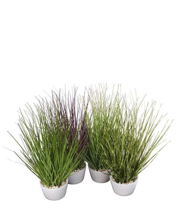 P1583A-ASSORTED GRASS IN WHITE POT