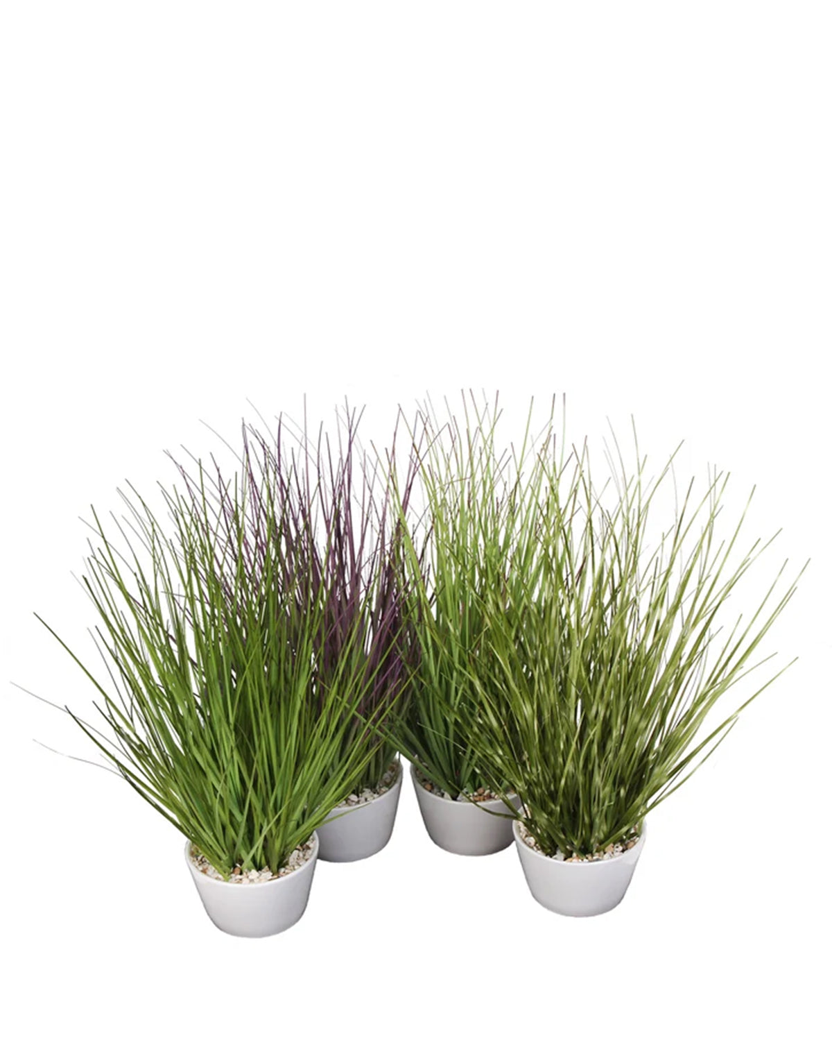 P1583A-ASSORTED GRASS IN WHITE POT