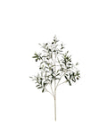 P2845-ITALIAN OLIVE SPRAY