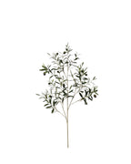 P2845-ITALIAN OLIVE SPRAY