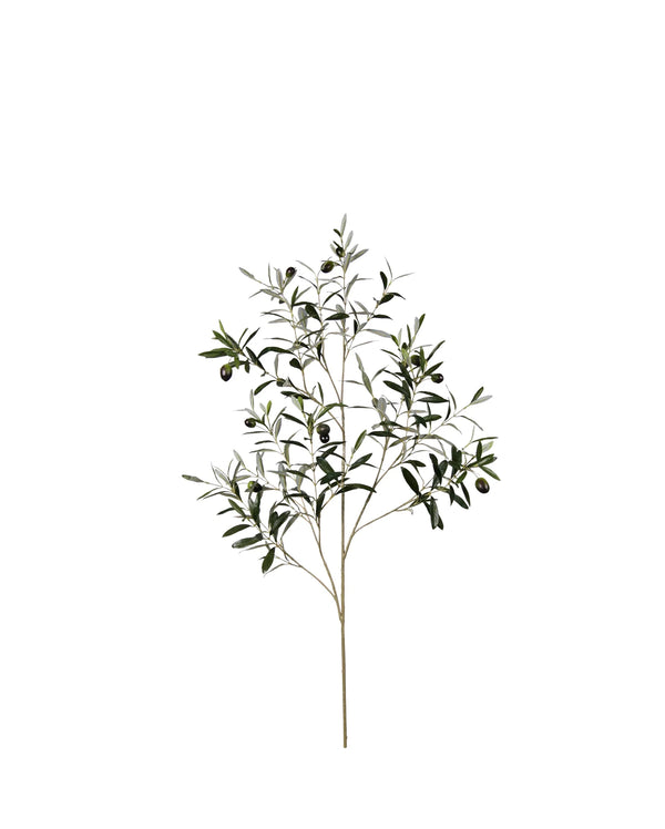 P2845-ITALIAN OLIVE SPRAY