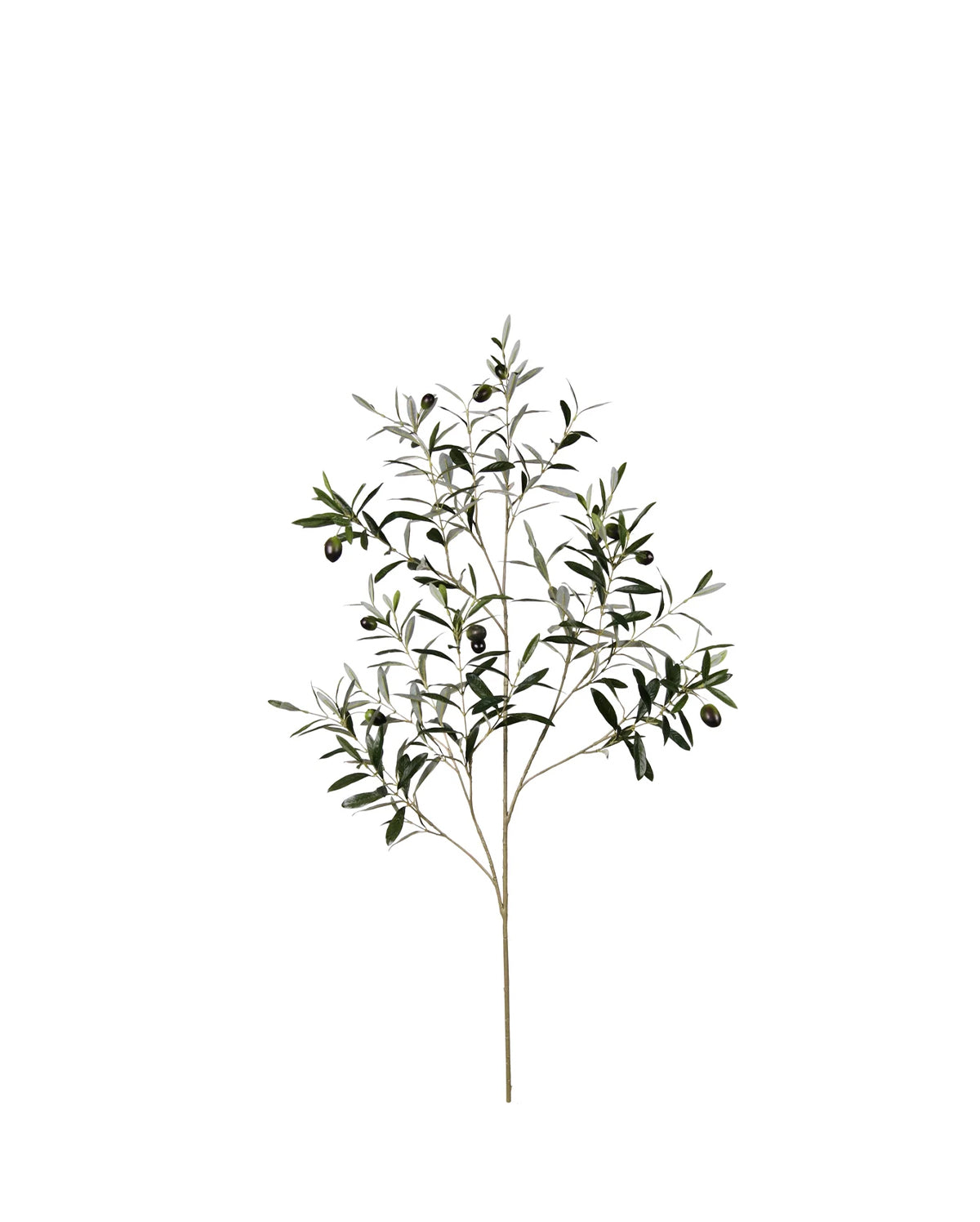 P2845-ITALIAN OLIVE SPRAY