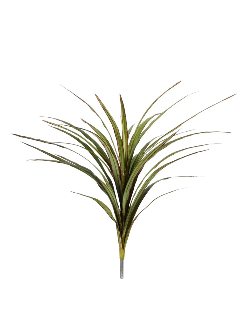 P2830 -  YUCCA HEAD BUSH W/30LVS