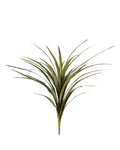 P2830 -  YUCCA HEAD BUSH W/30LVS