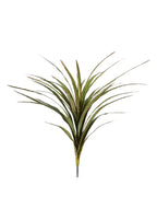 P2830 -  YUCCA HEAD BUSH W/30LVS
