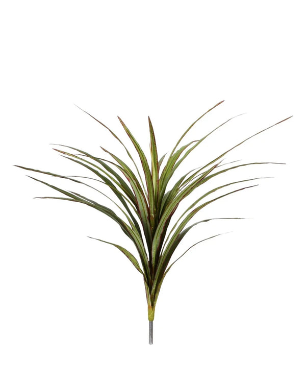P2830 -  YUCCA HEAD BUSH W/30LVS