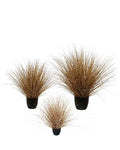 P1541R-LEOPARD RIVER GRASS