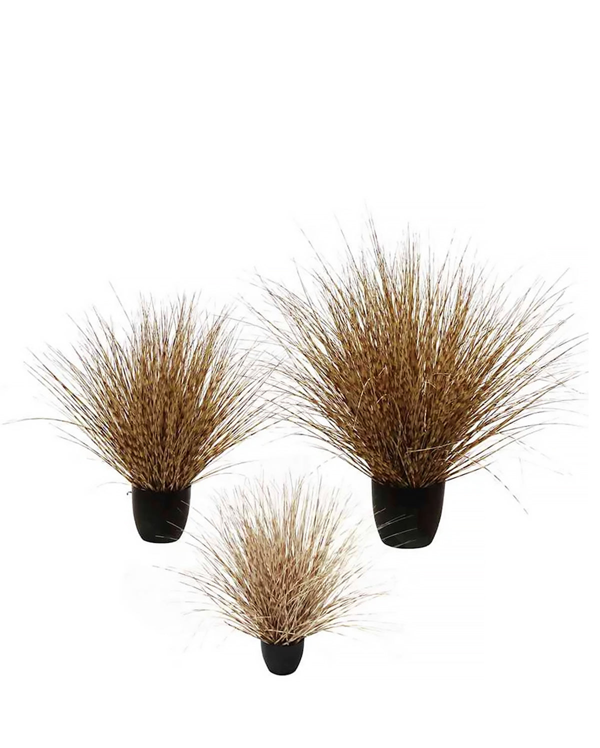 P1541R-LEOPARD RIVER GRASS