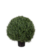 P3023-POND CYPRESS BALL TREE [UV/OUTDOOR]
