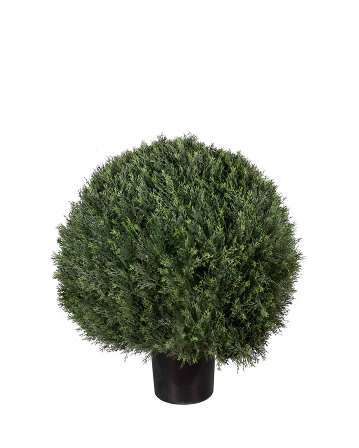 P3023-POND CYPRESS BALL TREE [UV/OUTDOOR]