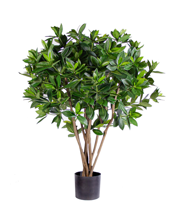 P1719-SWEET LINK TREE
