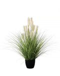 P1527R-REED RIVER GRASS
