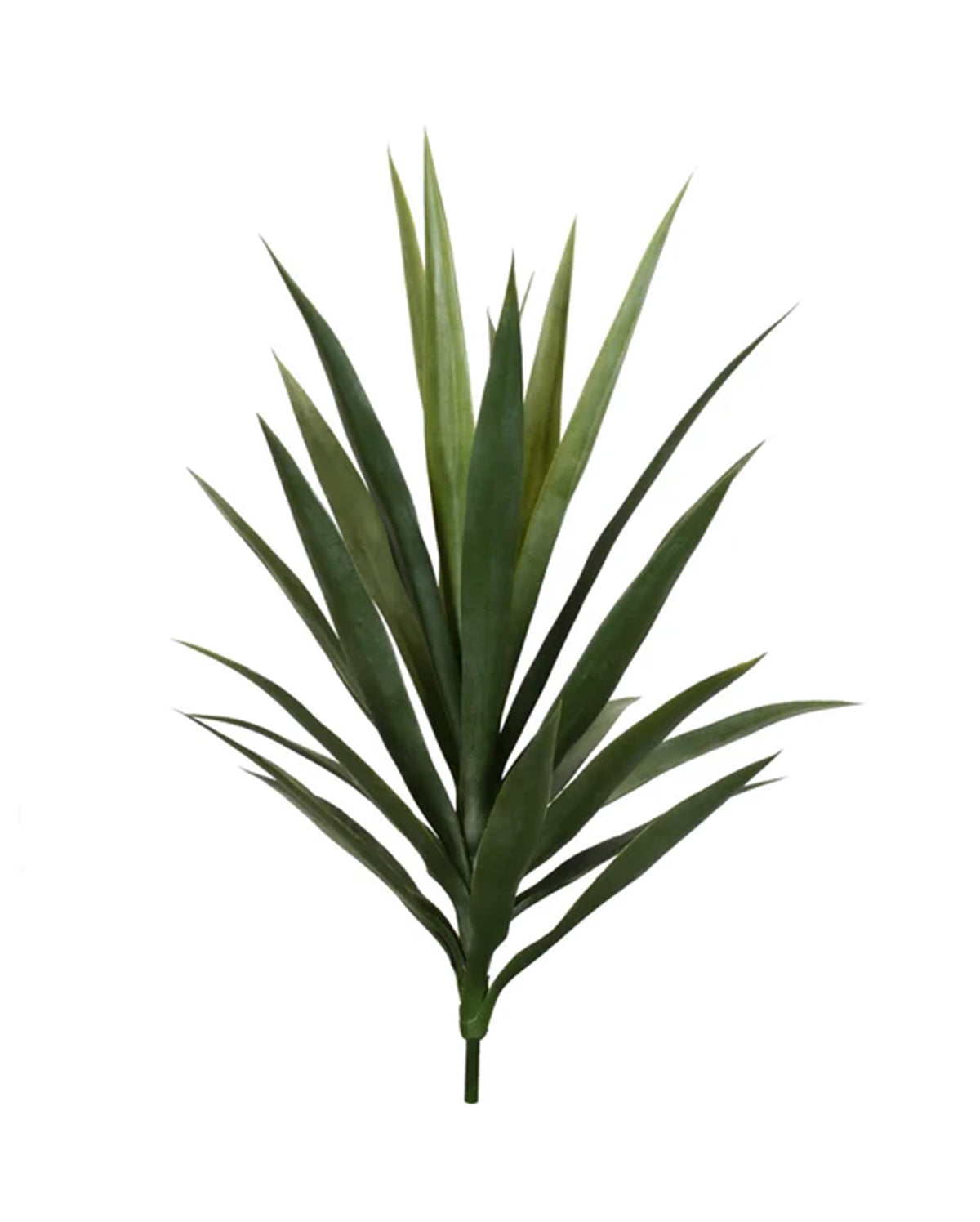 P1636-BABY BLUE AGAVE HEAD
