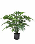 P1782-SPLIT PHILO BUSH