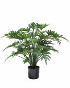 P1782-SPLIT PHILO BUSH