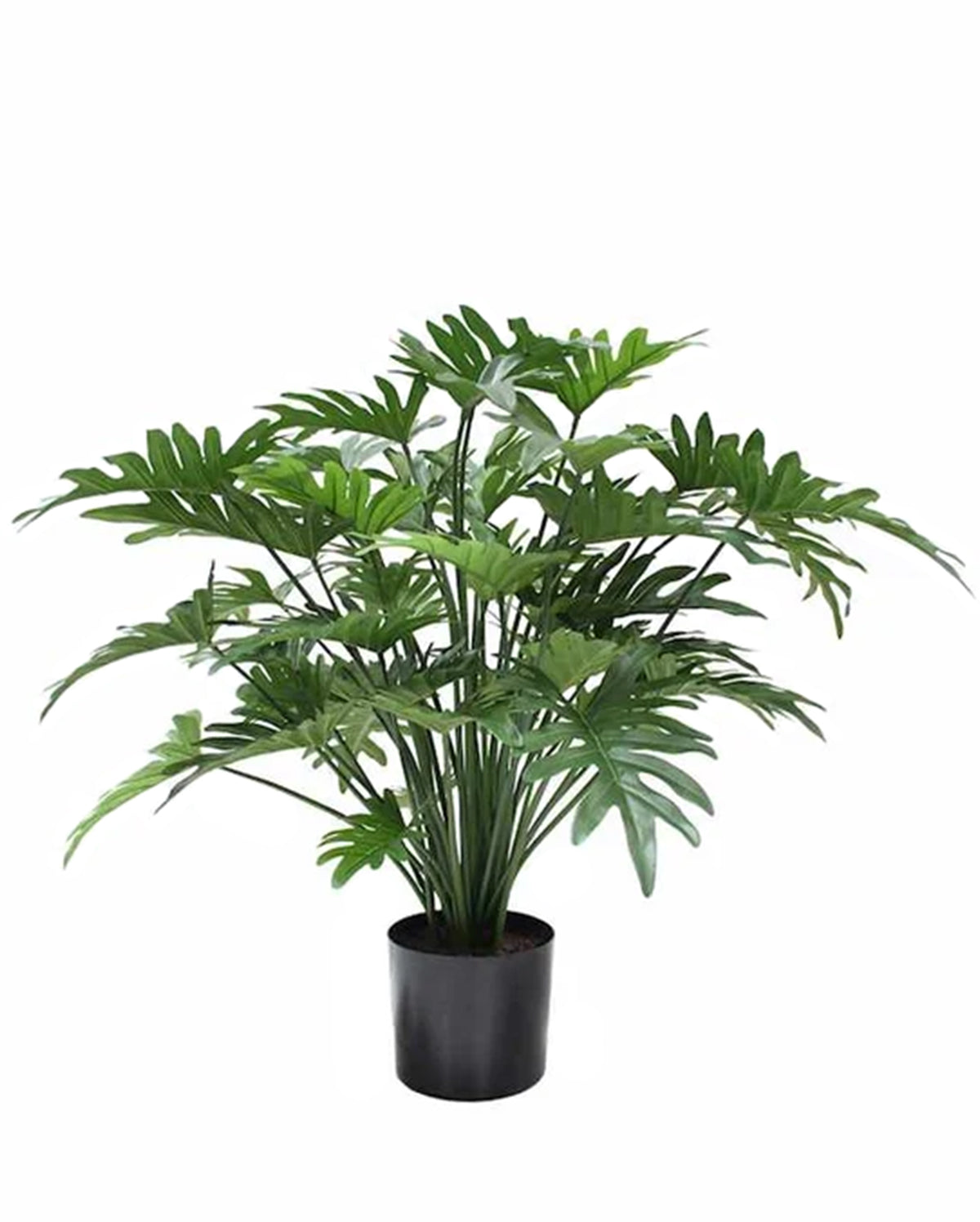 P1782-SPLIT PHILO BUSH
