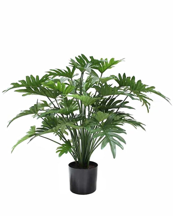 P1782-SPLIT PHILO BUSH