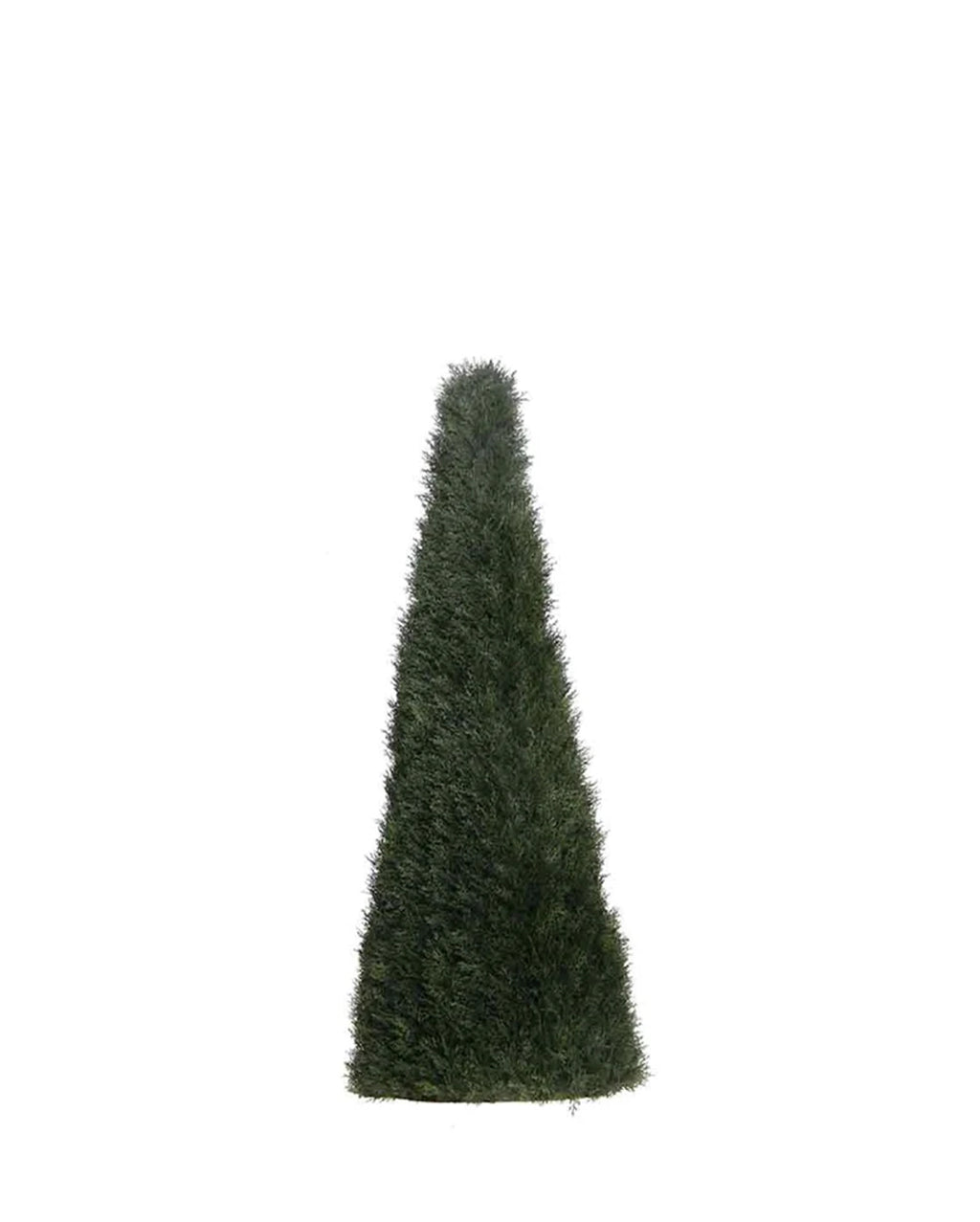 P3021N - UNPTD POND CYPRESS TOPIARY W