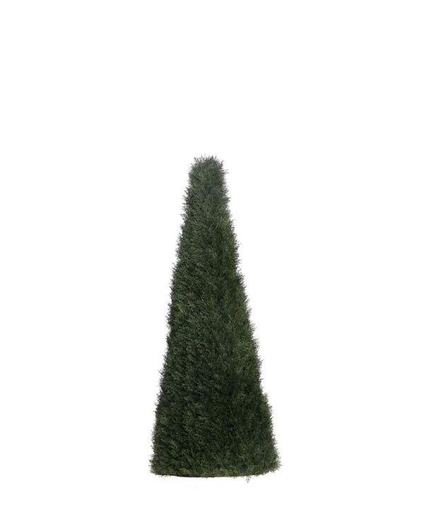 P3021N - UNPTD POND CYPRESS TOPIARY W