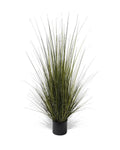 P1517-GRASS