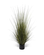 P1517-GRASS