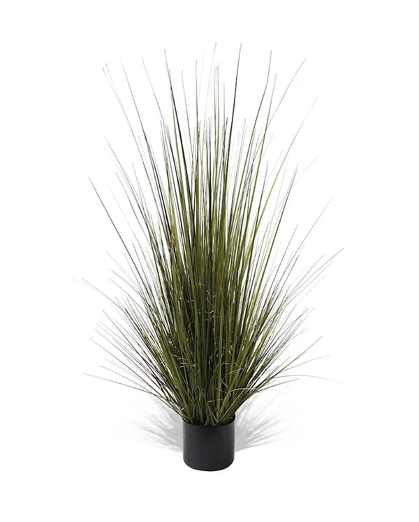 P1517-GRASS