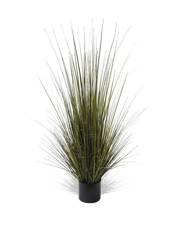 P1517-GRASS