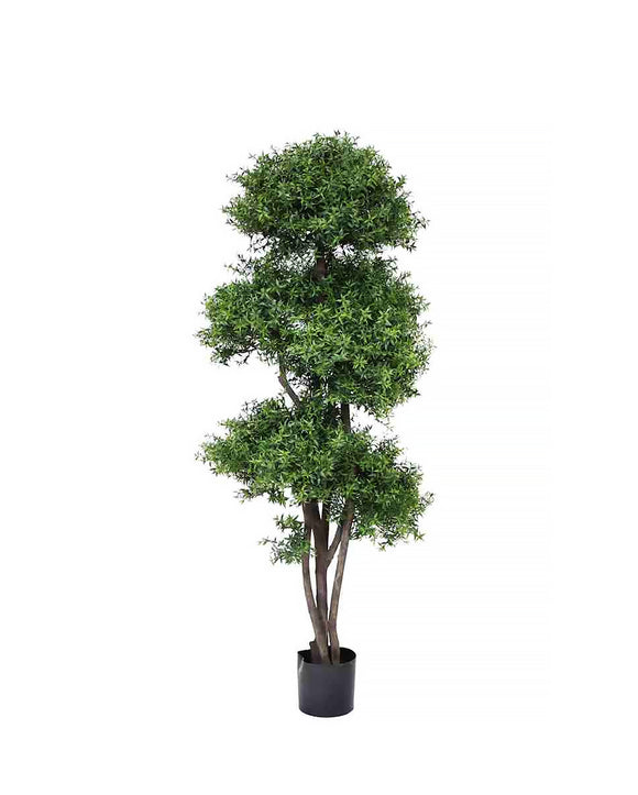 PP4039-TEA LEAF TREE