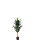 P1634-BLUE AGAVE
