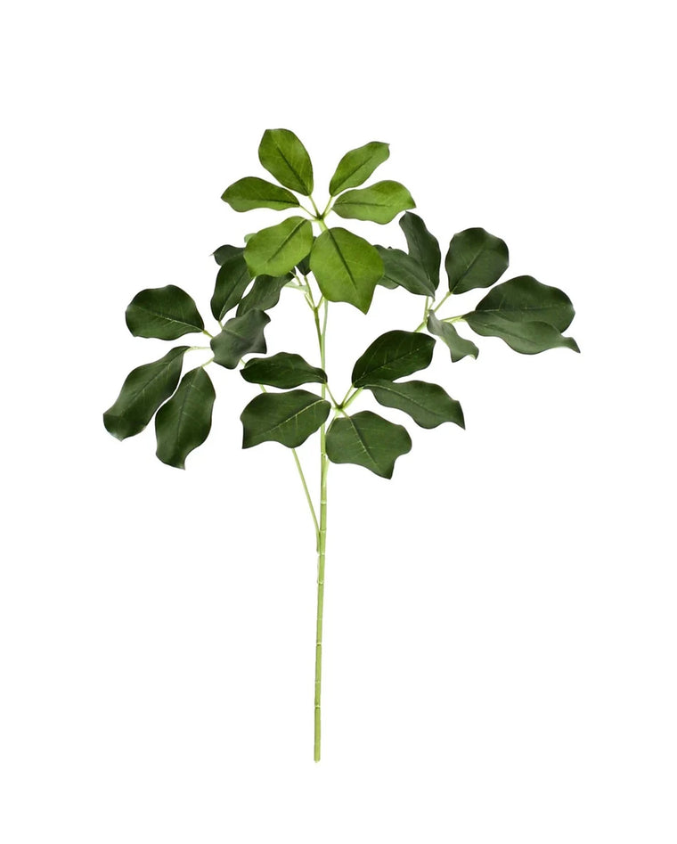 P2849-BRAZILIAN SCHEFFLERA SPRAY