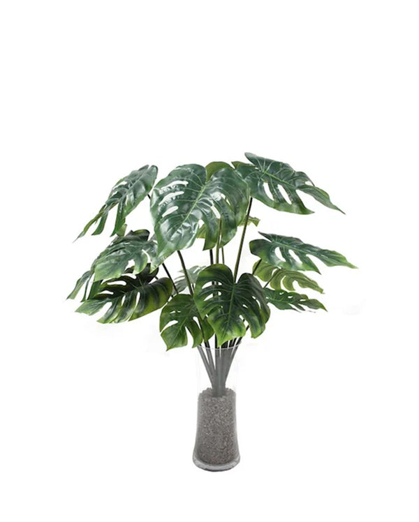 P1483N-UNPTD SPLIT PHILO BUSH