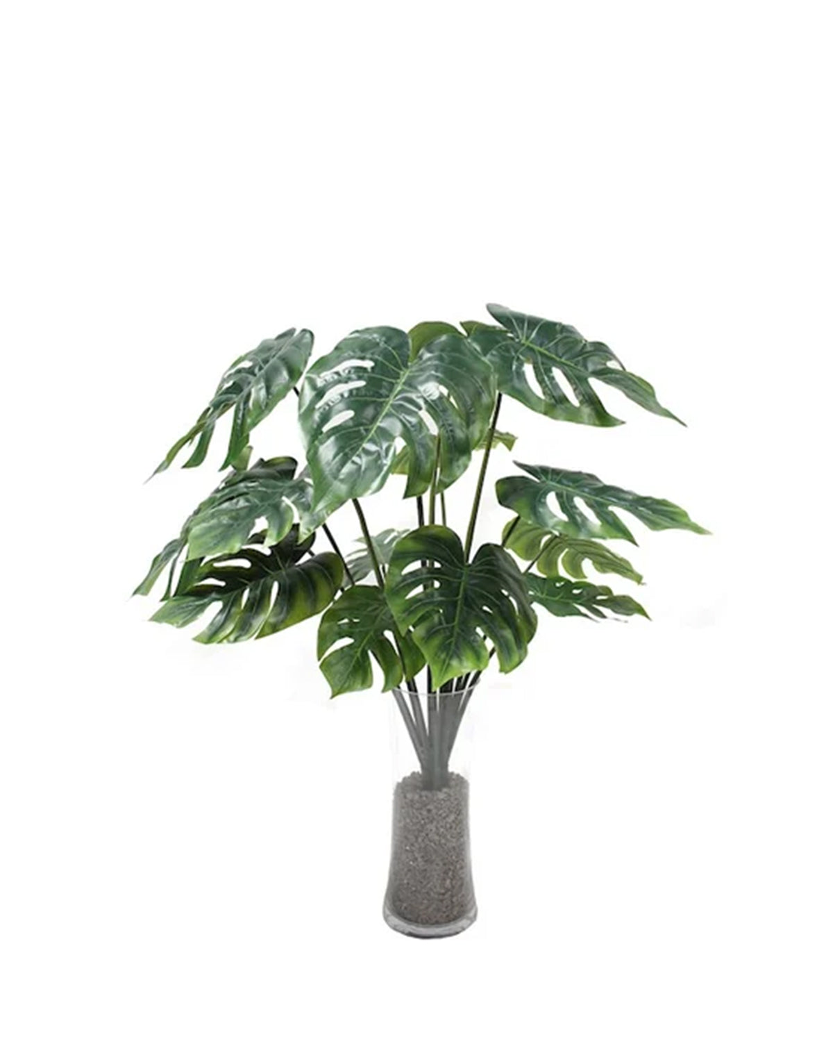 P1483N-UNPTD SPLIT PHILO BUSH