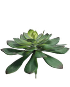 A7133 - DIA SINGLE STEM SUCCULENT