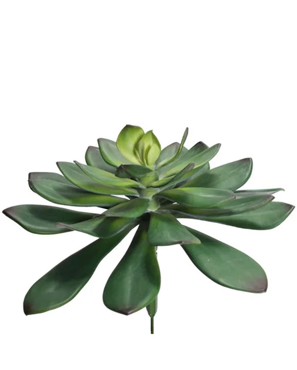 A7133 - DIA SINGLE STEM SUCCULENT