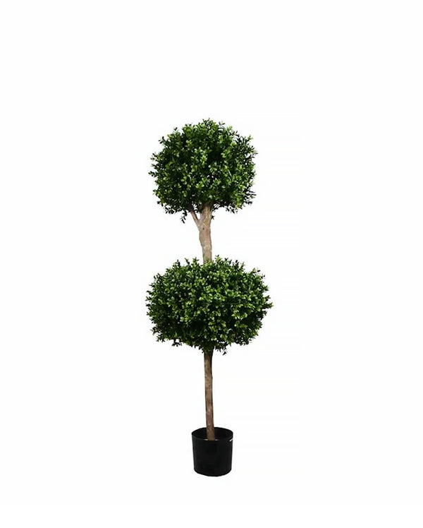 PP4036DB-BOXWOOD DOUBLE BALL TREE