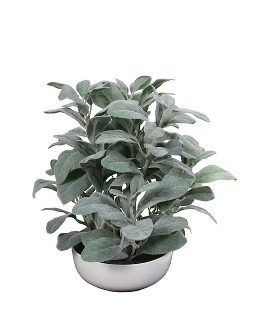 P1588-FROSTED LEMON LEAF IN WHITE POT