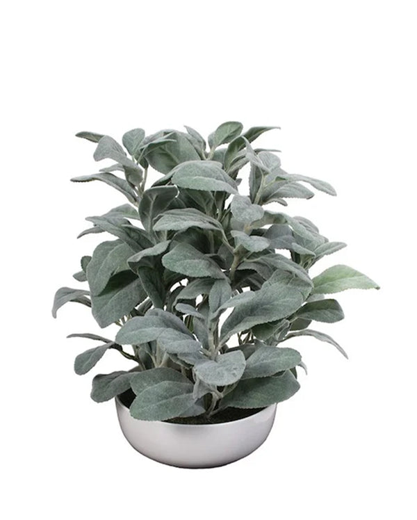 P1588-FROSTED LEMON LEAF IN WHITE POT