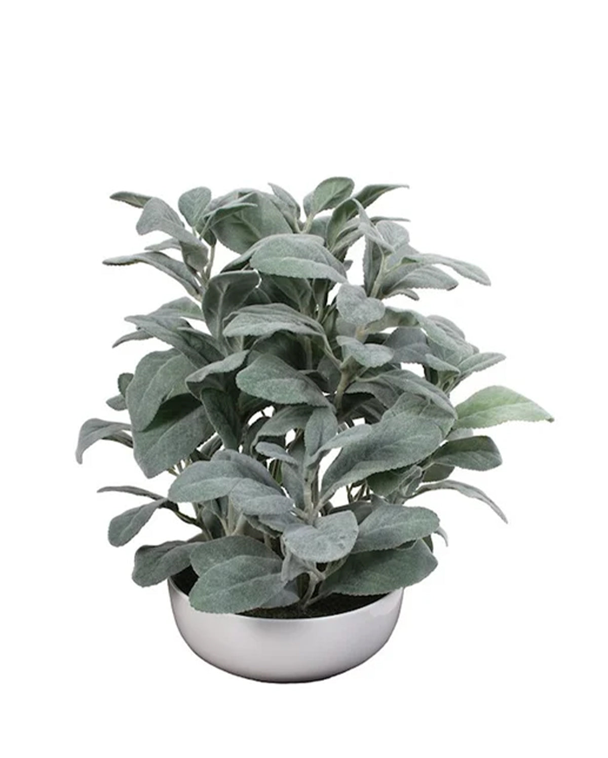 P1588-FROSTED LEMON LEAF IN WHITE POT