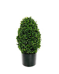 P3056-GYPSOPHILA  w/175 (UV/OUTDOOR)