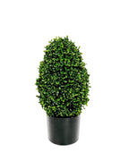 P3056-GYPSOPHILA  w/175 (UV/OUTDOOR)