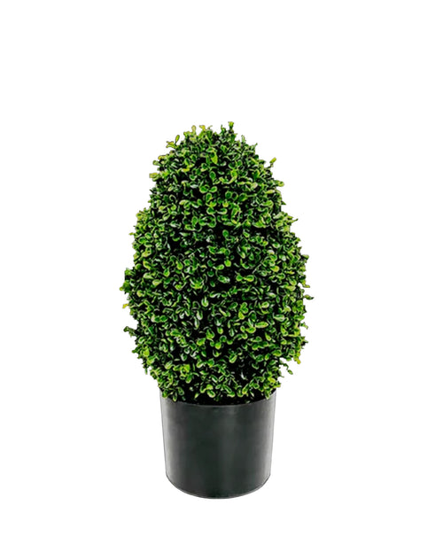 P3056-GYPSOPHILA  w/175 (UV/OUTDOOR)