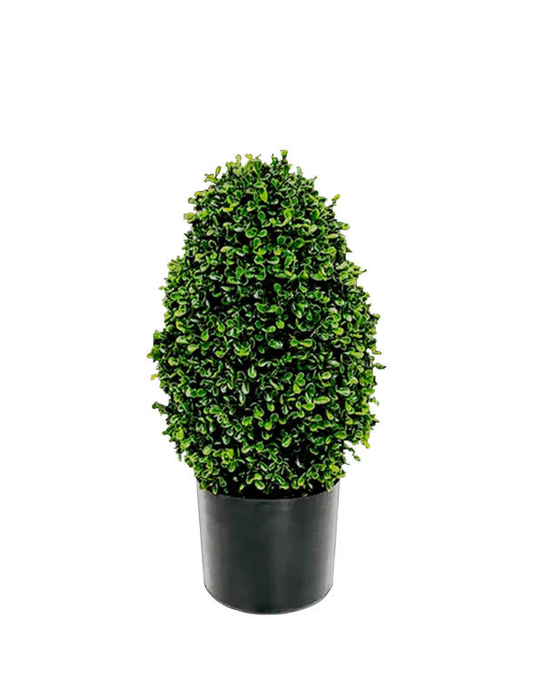 P3056-GYPSOPHILA  w/175 (UV/OUTDOOR)