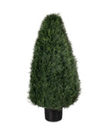 P3021-POND CYPRESS TOPIARY