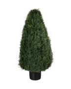 P3021-POND CYPRESS TOPIARY