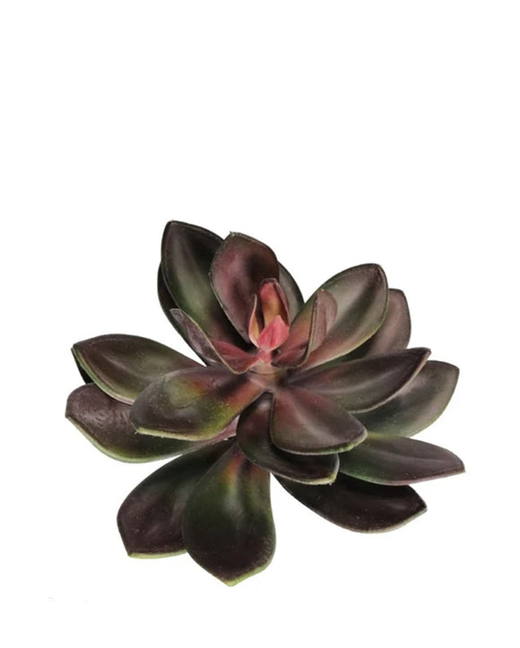 A7131 - SINGLE STEM SUCCULENT